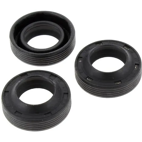 Joints A Huile 12x20x5 6.005.0079 Pour Nettoyeur Haute Pression Lavor 1 Joints A Huile 12x20x5 6.005.0079 Pour Nettoyeur Haute Pression Lavor